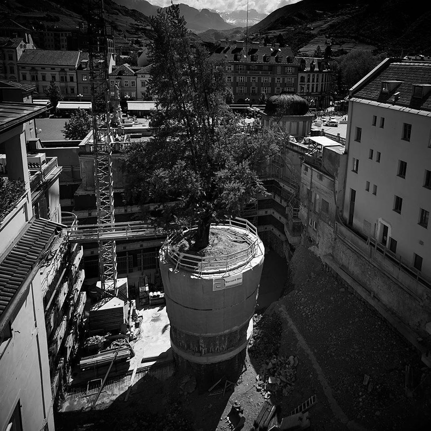 Saving Ginkgo Empress Sissa A Unique Project By MdAA Architetti saving-ginkgo-empress-sissa-a-unique-project-by-mdaa-architetti