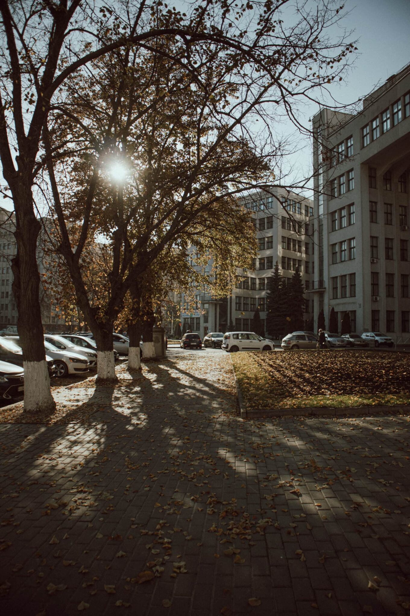 Градус благополучия. Как измерить температуру городам