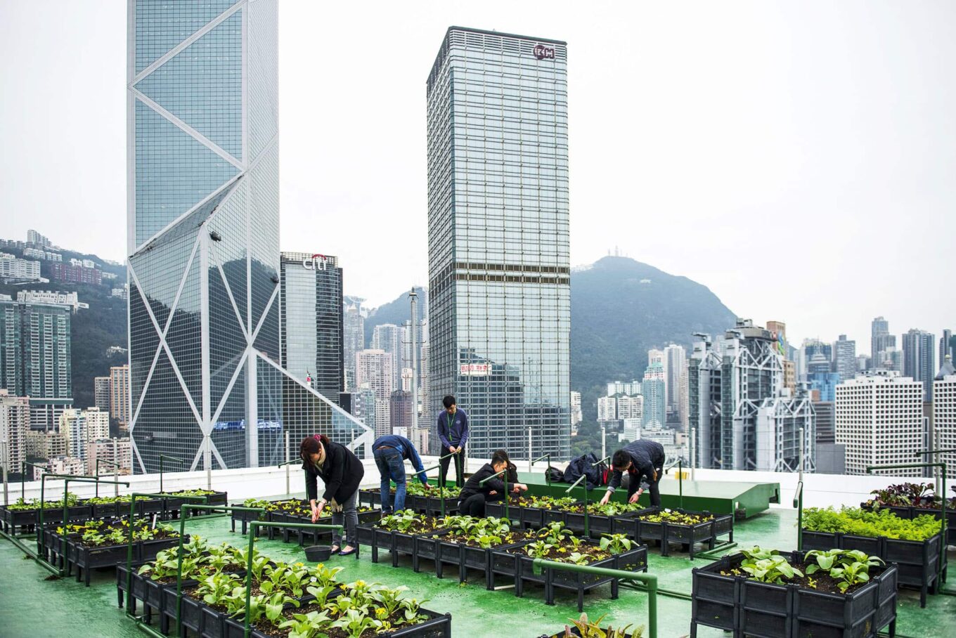 Urban village на крыше Bank of America в Гонконге