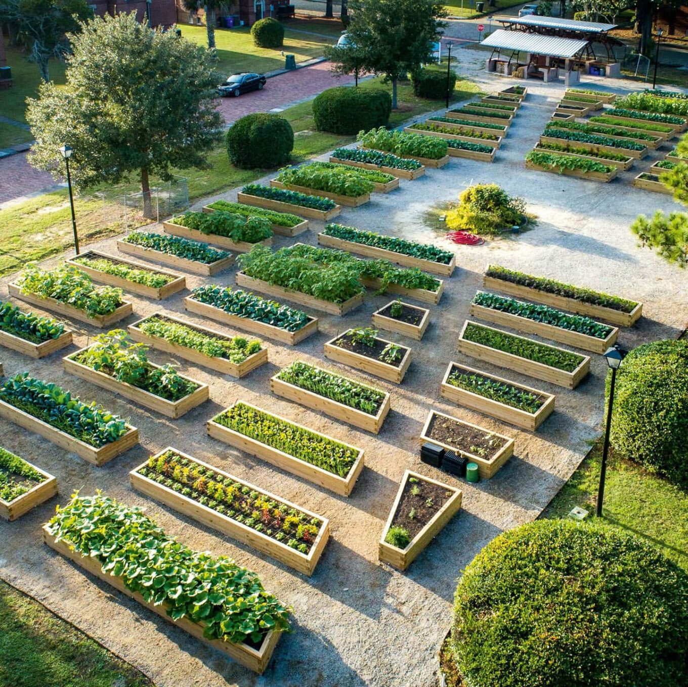 Green Heart — urban village, созданная учащимися католической школы Митчелл в Чарльстоне