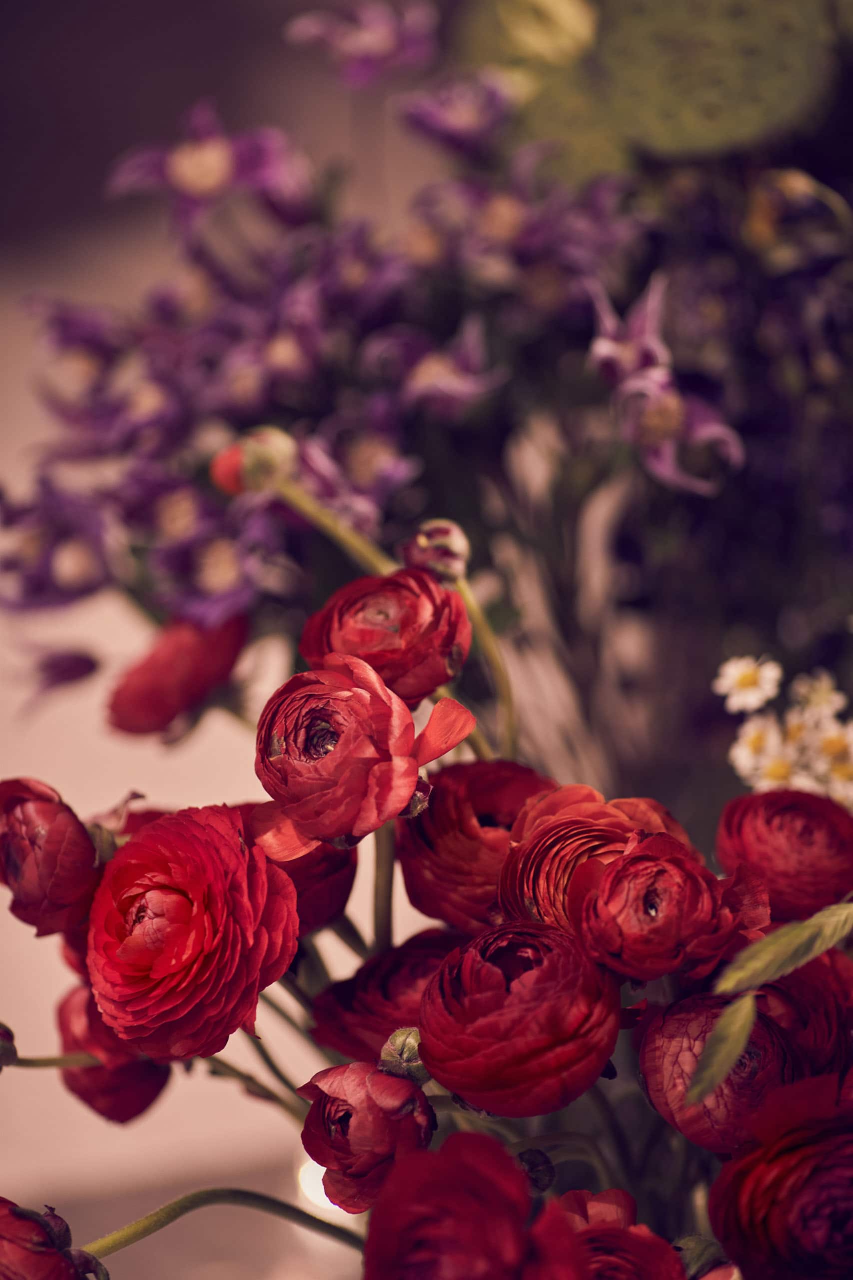 Arclinea Camerata - PRAGMATIKA.MEDIA - Україна, Київ