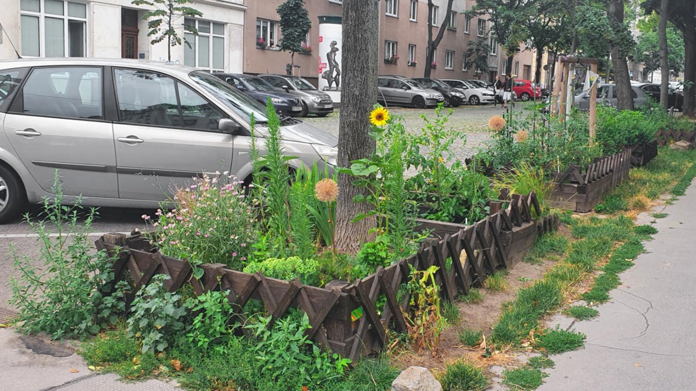 Anarchici verdi: Guerrilla Gardening: incoraggiare o vietare? -  PRAGMATIKA.MEDIA - Ucraina, Kiev