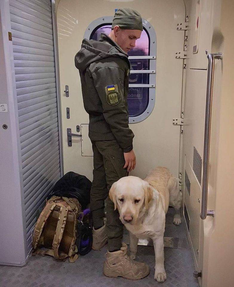 "Ukrzaliznytsia" will change the rules for transporting animals in