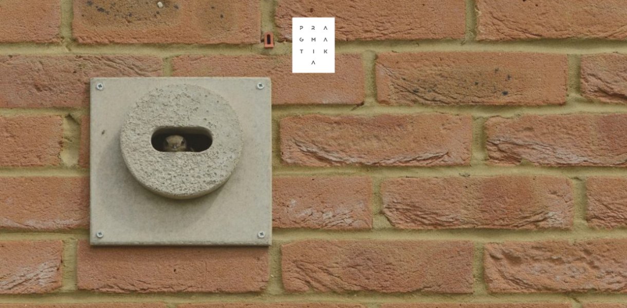 цеглини для птахів