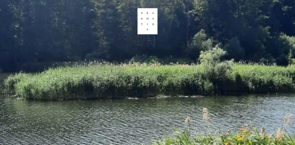 заказник Совська Балка