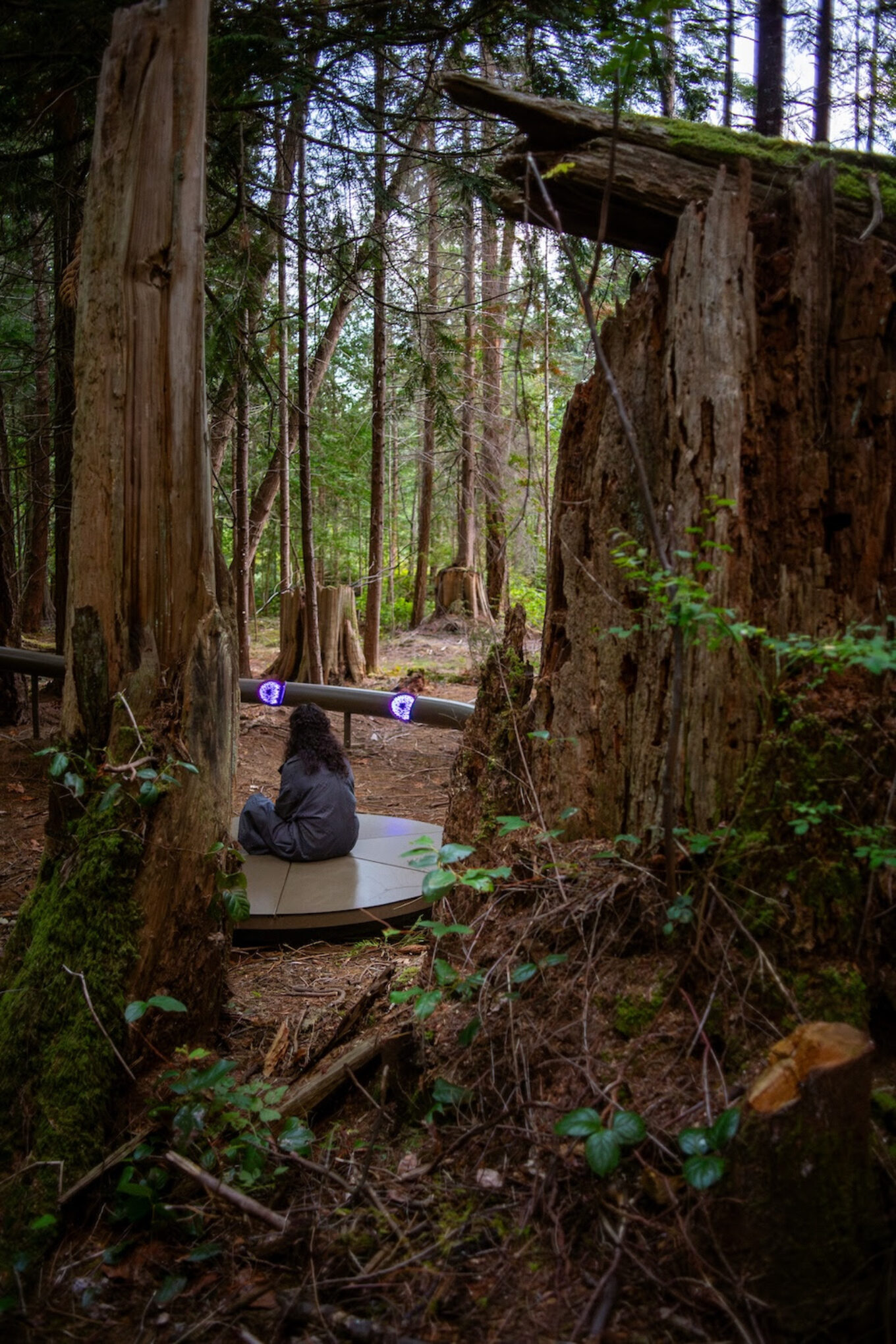 Артпроєкт в Канаді