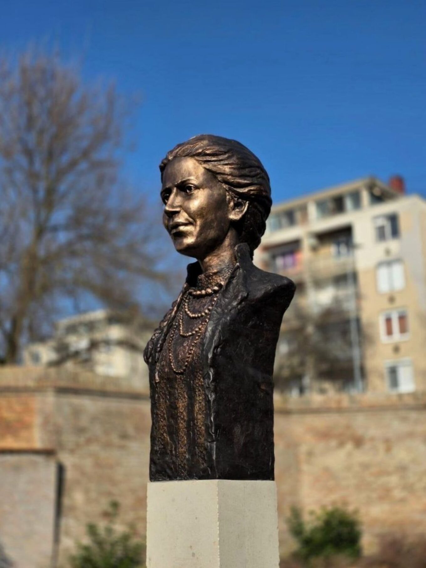 Памʼятник Лесі Українці встановили в Угорщині