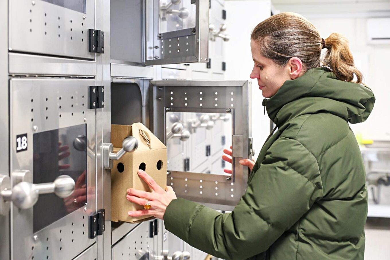 Пункт прийому поранених птахів у Варшаві