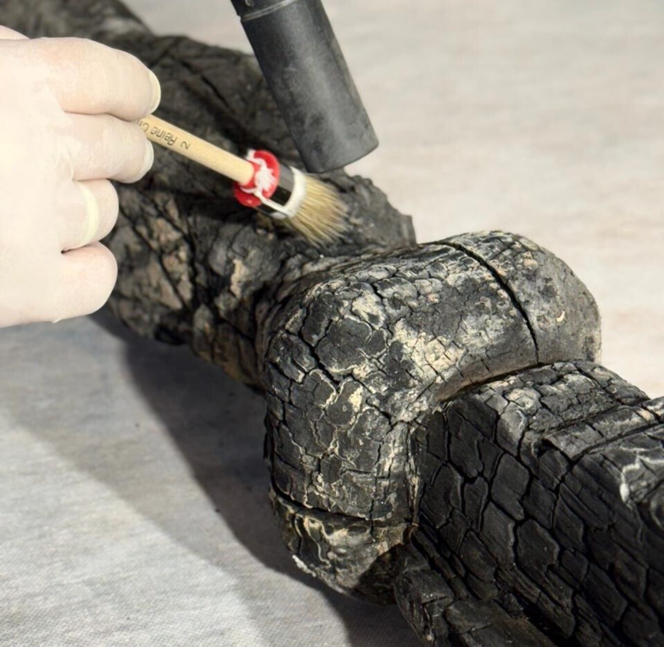 сходи з музею Шухевича