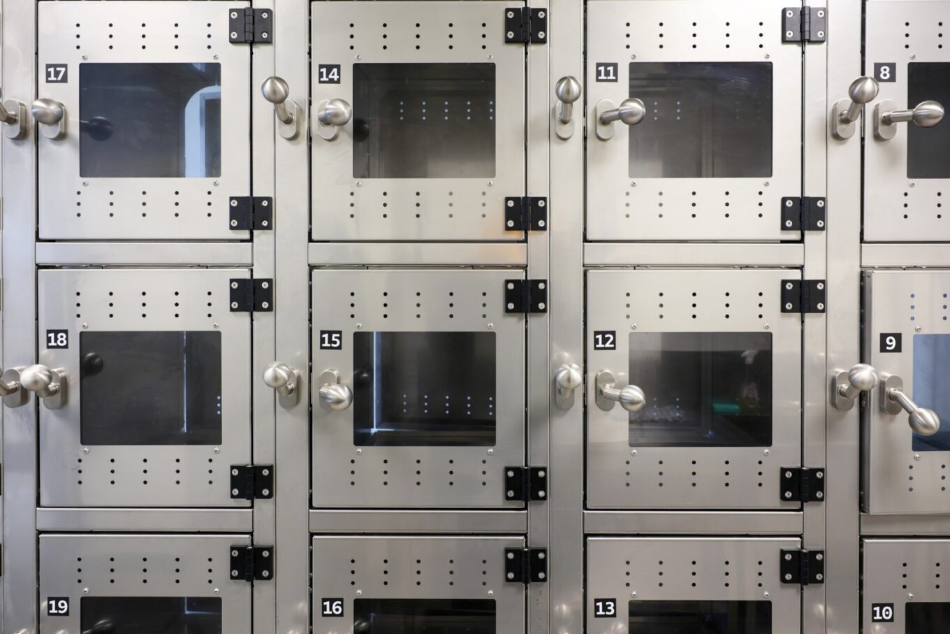 Пункт прийому поранених птахів у Варшаві