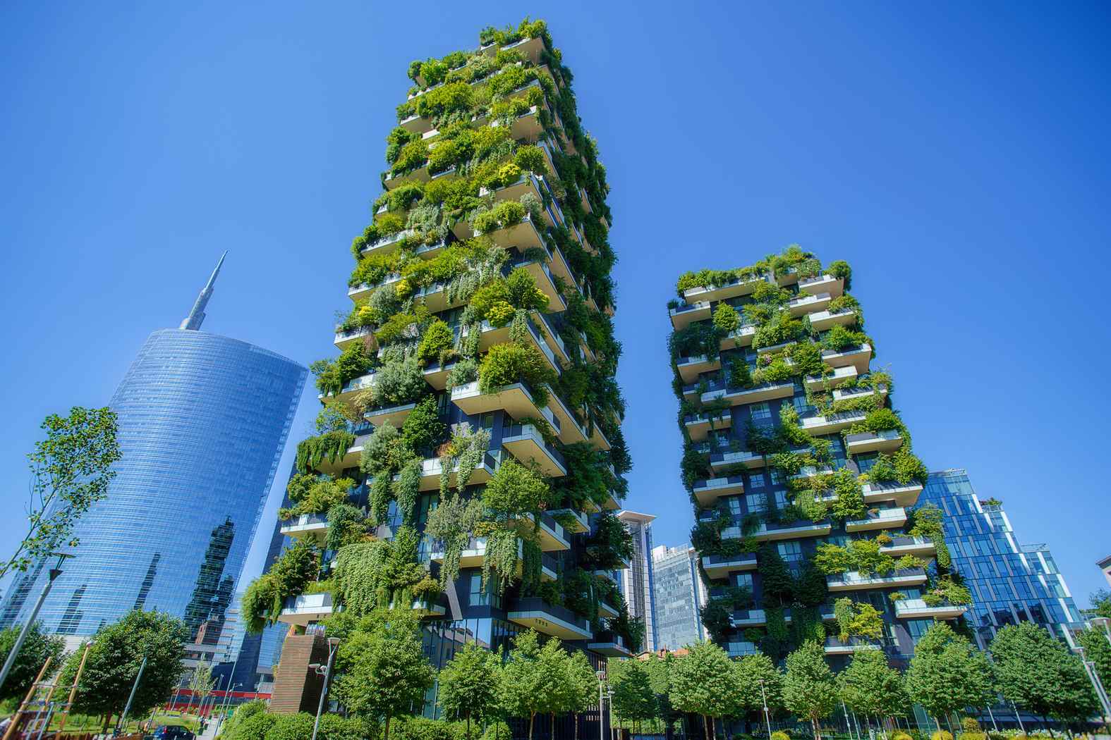 Green Wall as an Investment: Myths and Facts